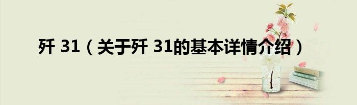歼 31(关于歼 31的基本详情介绍)