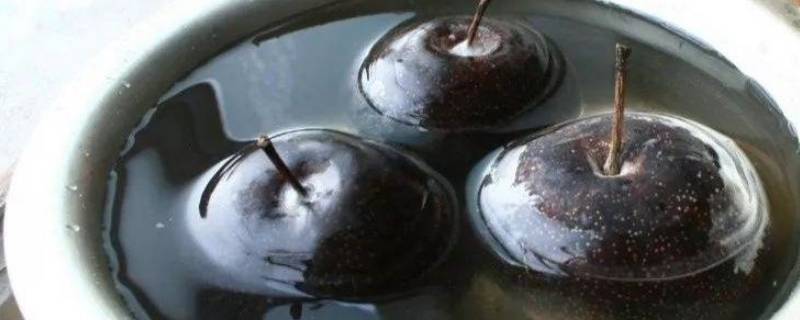 哪种梨适合做冻梨