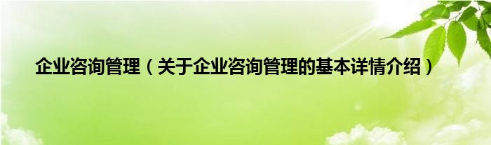 企业咨询管理(关于企业咨询管理的基本详情介绍)