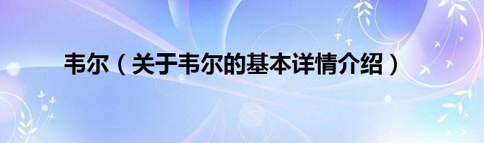 韦尔（关于韦尔的基本详情介绍）