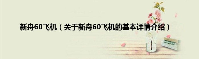 新舟60飞机（关于新舟60飞机的基本详情介绍）
