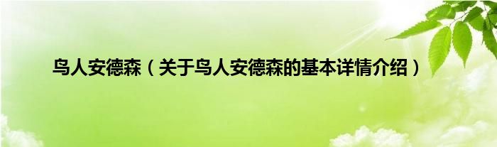 鸟人安德森（关于鸟人安德森的基本详情介绍）