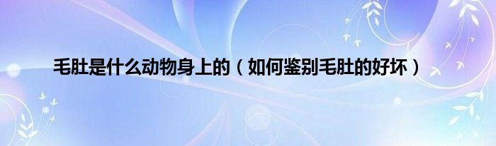 毛肚是什么动物身上的（如何鉴别毛肚的好坏）