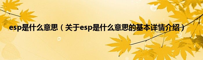 esp是什么意思（关于esp是什么意思的基本详情介绍）
