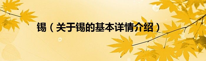 锡（关于锡的基本详情介绍）