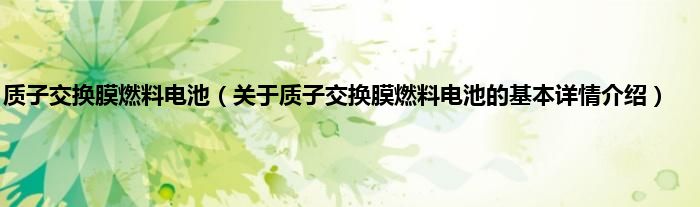 质子交换膜燃料电池（关于质子交换膜燃料电池的基本详情介绍）