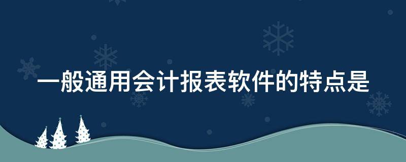 一般通用会计报表软件的特点是