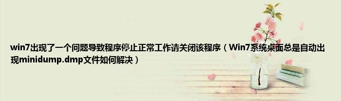 win7出现了一个问题导致程序停止正常工作请关闭该程序(Win7系统桌面总是自动出现minidump.dmp文件如何解决)