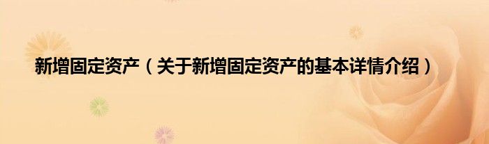 新增固定资产（关于新增固定资产的基本详情介绍）