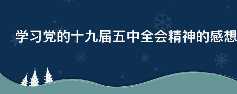 学习党的十九届五中全会精神的感想