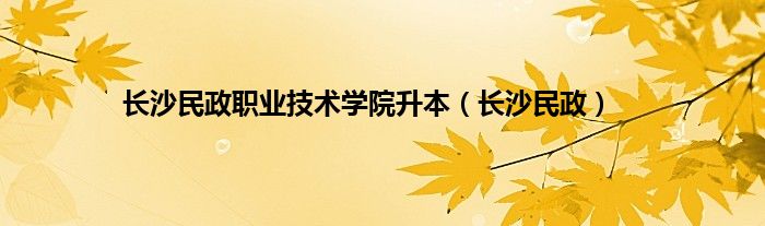 长沙民政职业技术学院升本(长沙民政)