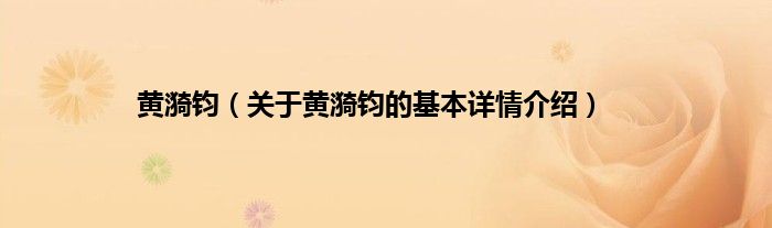 黄漪钧(关于黄漪钧的基本详情介绍)