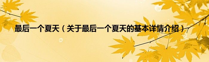 最后一个夏天（关于最后一个夏天的基本详情介绍）