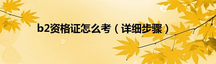 b2资格证怎么考（详细步骤）