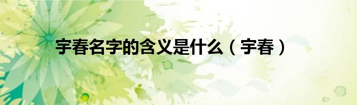 宇春名字的含义是什么（宇春）
