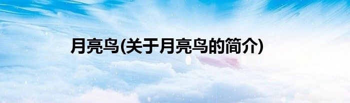 月亮鸟(关于月亮鸟的简介)