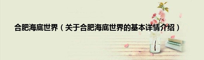 合肥海底世界（关于合肥海底世界的基本详情介绍）