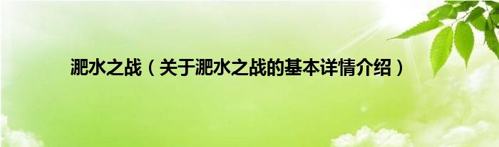 淝水之战（关于淝水之战的基本详情介绍）