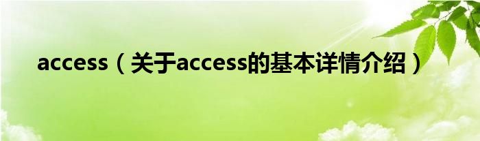 access（关于access的基本详情介绍）
