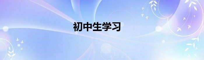 初中生学习