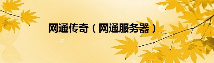 网通传奇（网通服务器）