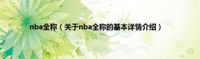 nba全称(关于nba全称的基本详情介绍)