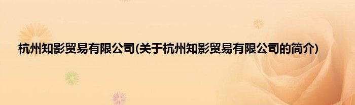 杭州知影贸易有限公司(关于杭州知影贸易有限公司的简介)