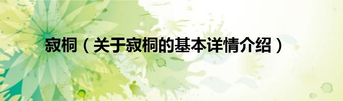 寂桐（关于寂桐的基本详情介绍）