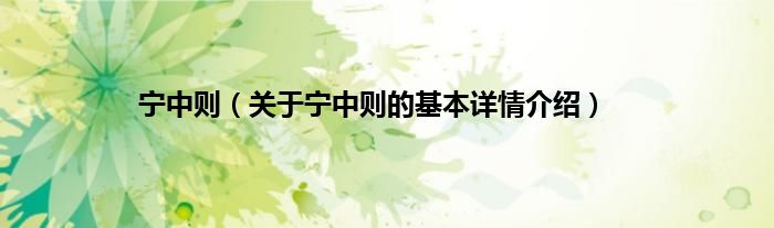 宁中则（关于宁中则的基本详情介绍）