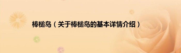 棒槌岛（关于棒槌岛的基本详情介绍）