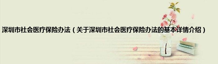 深圳市社会医疗保险办法（关于深圳市社会医疗保险办法的基本详情介绍）