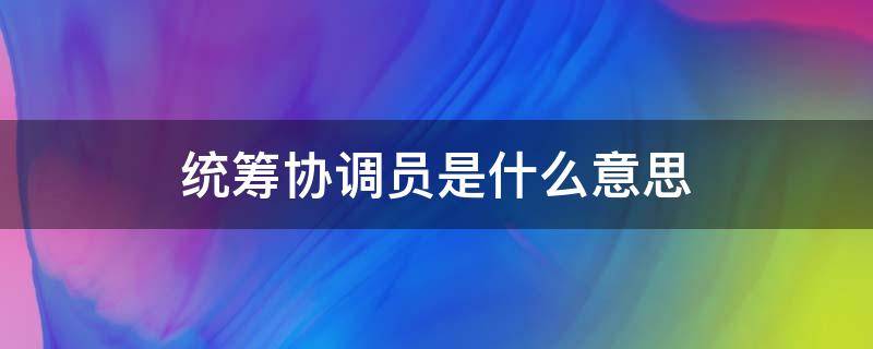 统筹协调员是什么意思