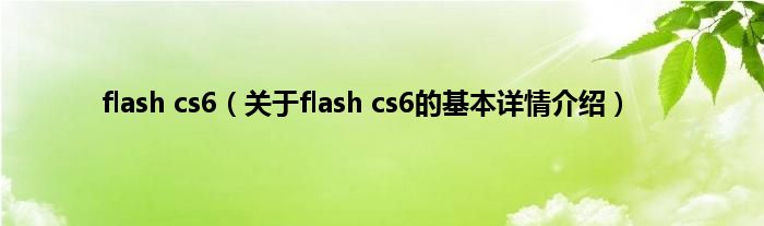 flash cs6(关于flash cs6的基本详情介绍)