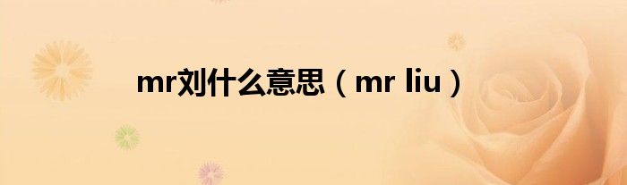 mr刘什么意思（mr liu）