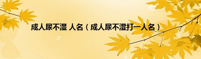 成人尿不湿 人名（成人尿不湿打一人名）