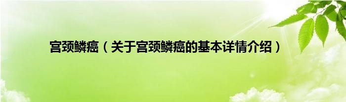 宫颈鳞癌（关于宫颈鳞癌的基本详情介绍）