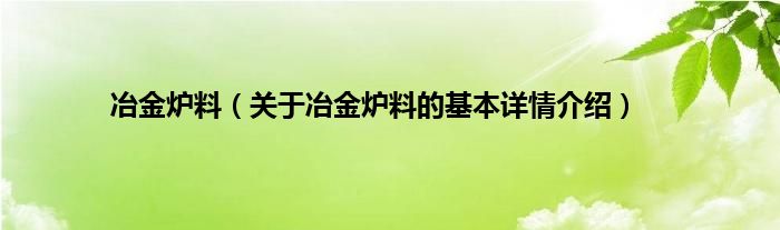 冶金炉料（关于冶金炉料的基本详情介绍）
