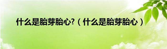 什么是胎芽胎心?（什么是胎芽胎心）