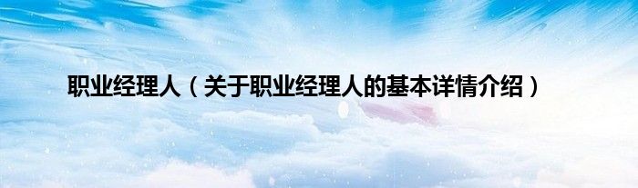 职业经理人（关于职业经理人的基本详情介绍）