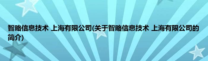 智略信息技术 上海有限公司(关于智略信息技术 上海有限公司的简介)