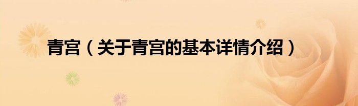 青宫(关于青宫的基本详情介绍)