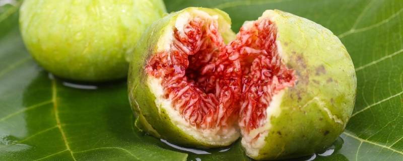 一月水果有哪些应季