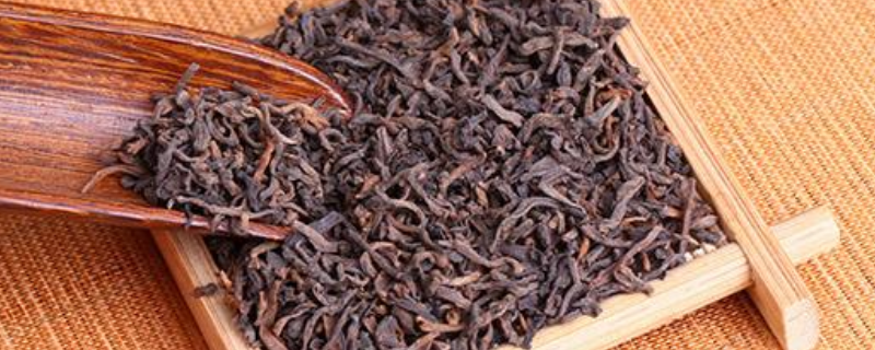 普洱茶饼怎么泡才正确方法