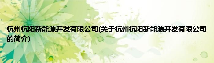 杭州杭阳新能源开发有限公司(关于杭州杭阳新能源开发有限公司的简介)