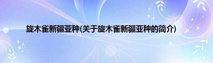 旋木雀新疆亚种(关于旋木雀新疆亚种的简介)