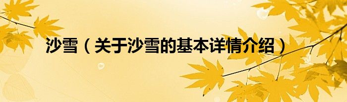 沙雪（关于沙雪的基本详情介绍）