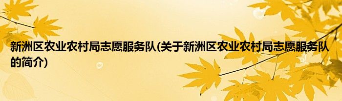 新洲区农业农村局志愿服务队(关于新洲区农业农村局志愿服务队的简介)