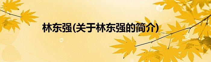 林东强(关于林东强的简介)