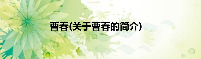 曹春(关于曹春的简介)