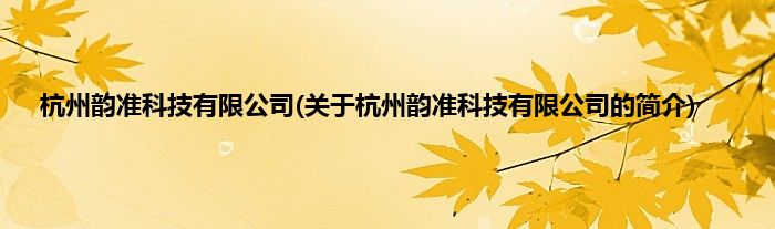 杭州韵准科技有限公司(关于杭州韵准科技有限公司的简介)